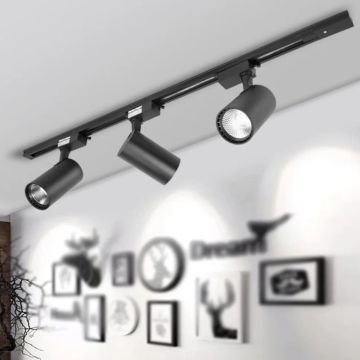 Noas 2 Metre Siyah Monofaze Ray YL99-0007-2