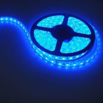 Cata CT-4484 10 Çip Mavi İç Mekan Şerit Led