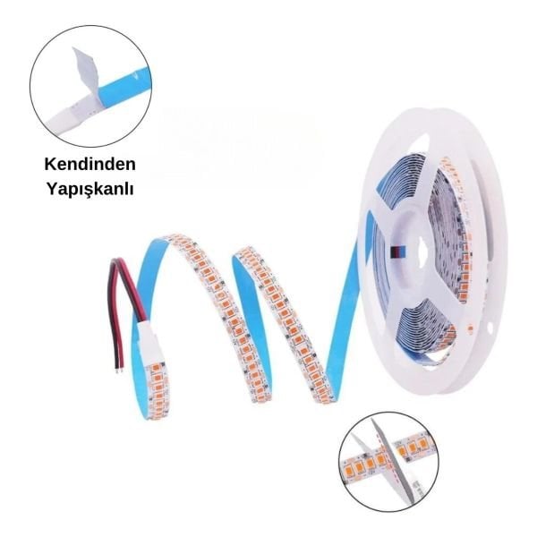 Cata 240 Çipli Led Şerit İç Mekan Günışığı CT-4538G