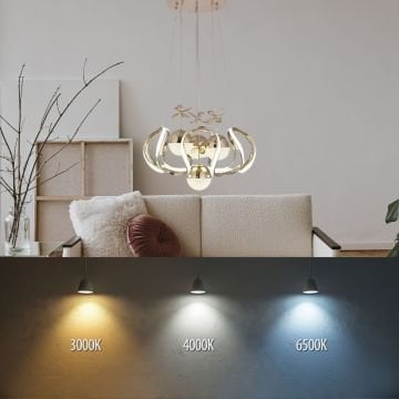 4 Toplu Gold Kaplama Led Salon Avizesi 3 Renk Aydınlatma