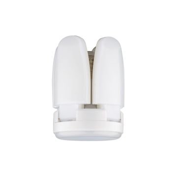 Noas 20W Manolya Led Ampül Günışığı YL90-0022