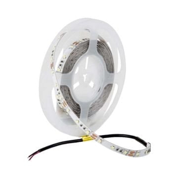 Cata Beyaz Işık Gold 12v İç Mekan Şerit Led CT-4535