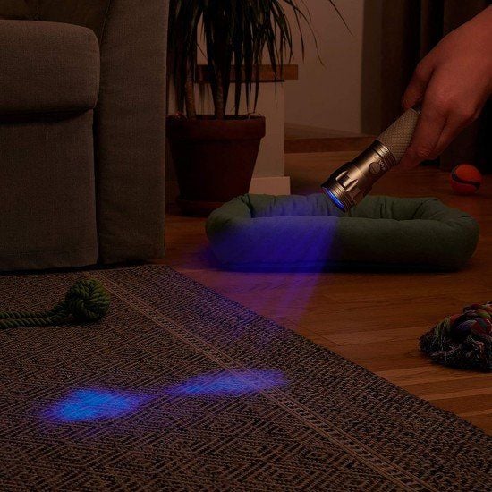 Varta Uv Light Fener 3xAAA