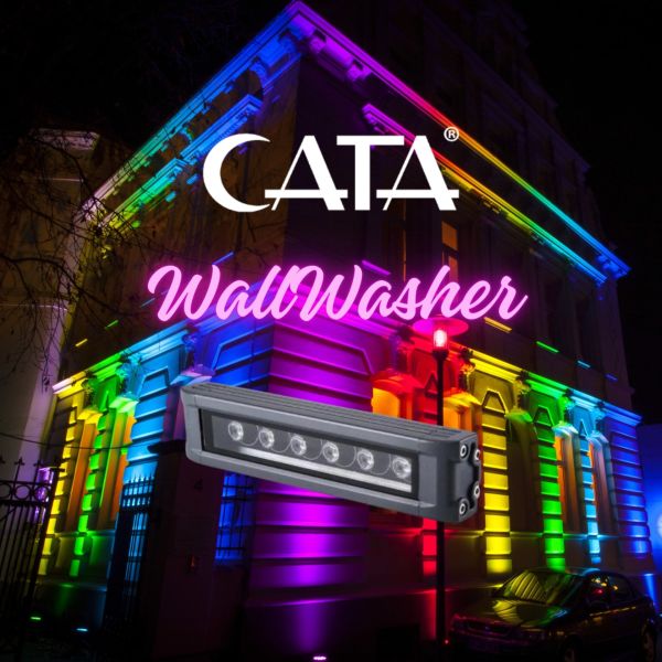 Cata 6 Watt Gold Wallwasher 20 cm Günışığı Renk CT-4694G