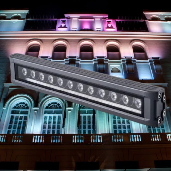 Cata 12 Watt Gold Wallwasher 30 cm Günışığı Renk CT-4695